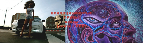 PSILOCYBIN Абинск