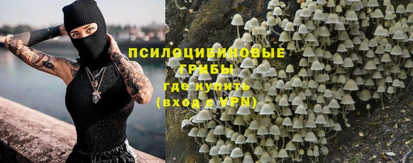 PSILOCYBIN Абинск